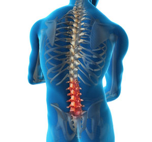 lumbar-spine